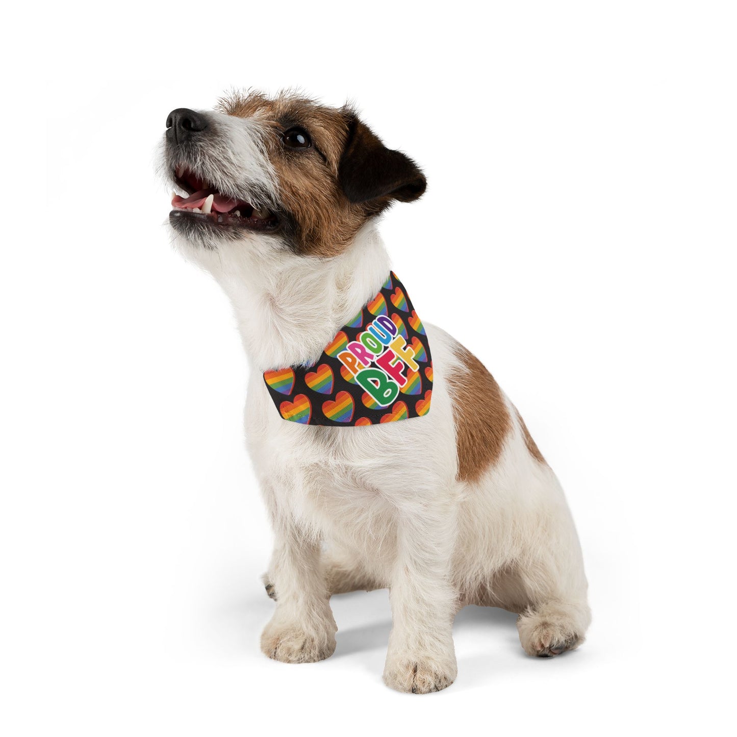 Proud BFF Pet Bandana Collar