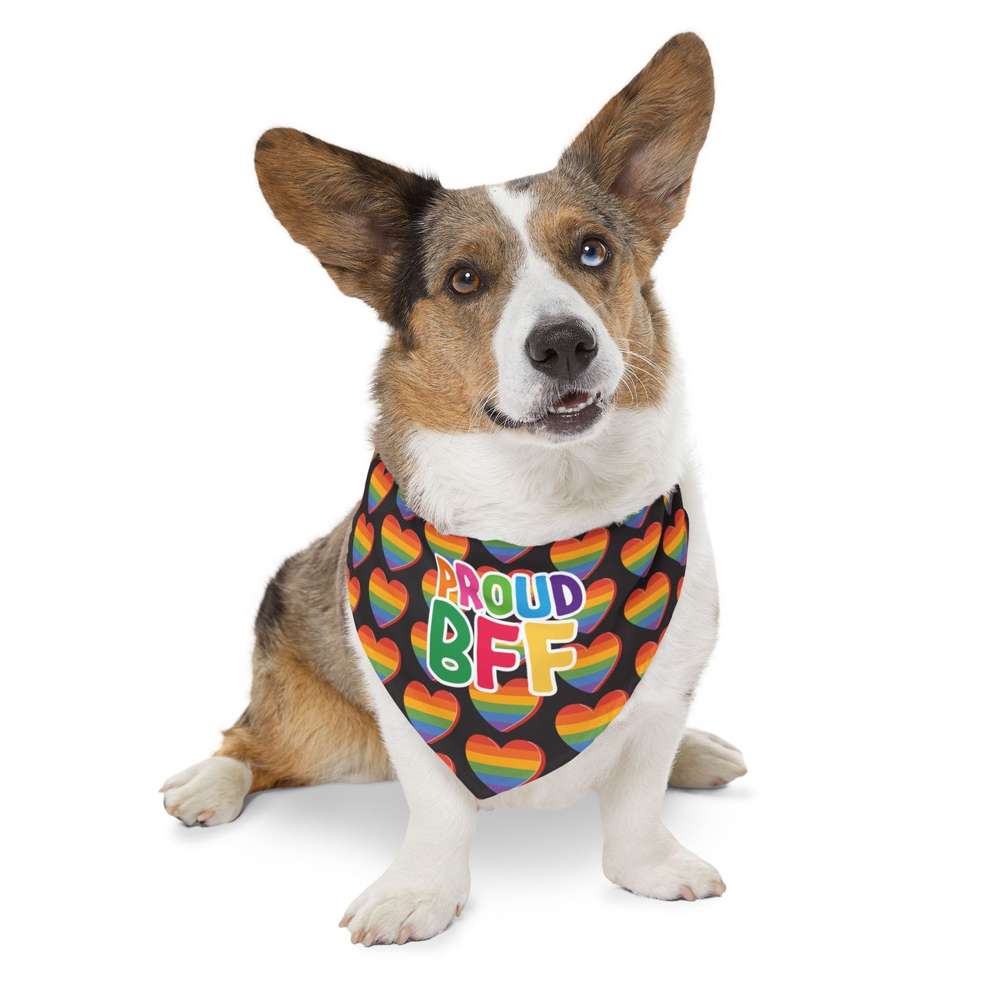 Proud BFF Pet Bandana Collar