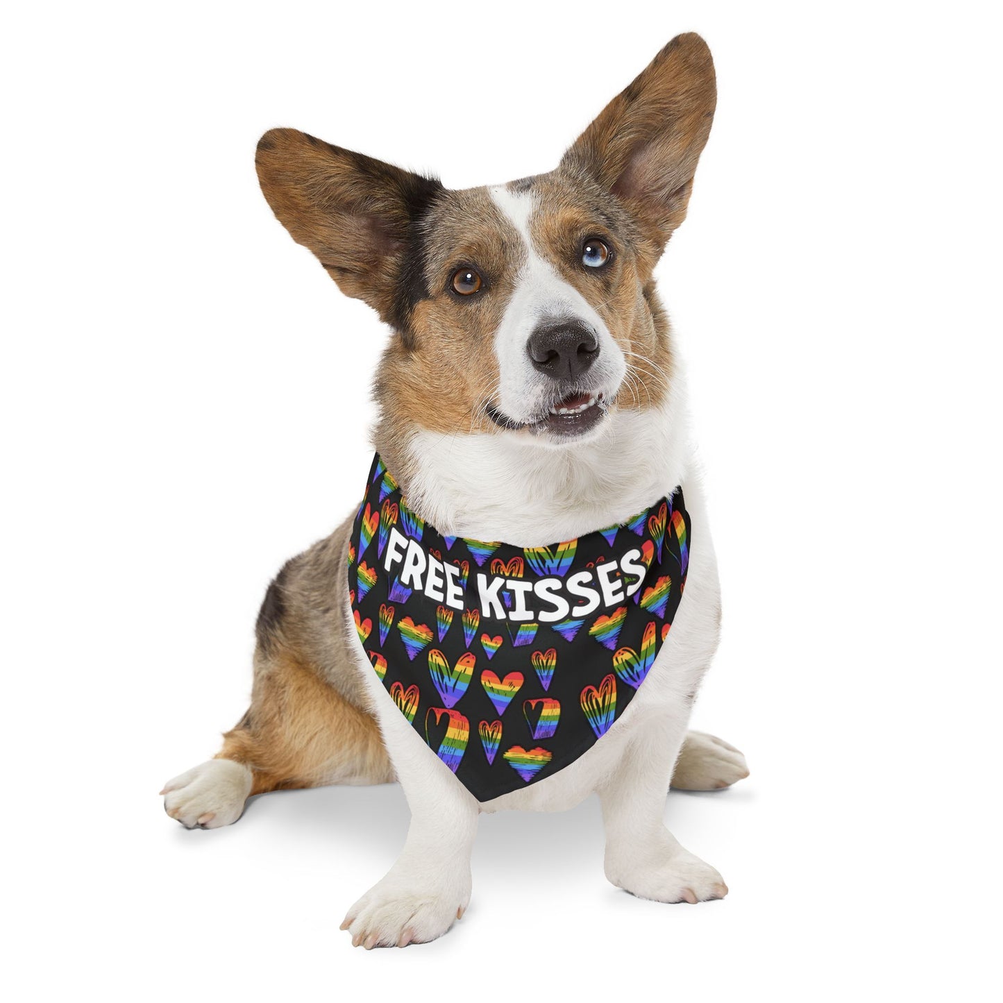 Fun Rainbow Pet Bandana