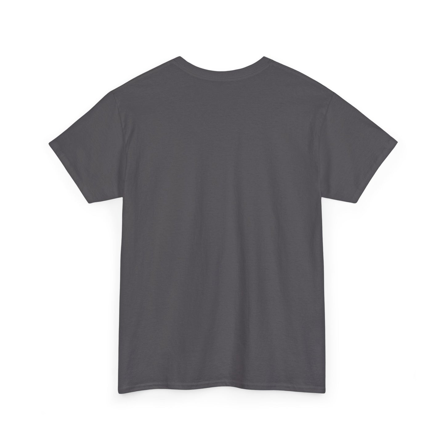 This Ain’t My First Rodeo T-Shirt