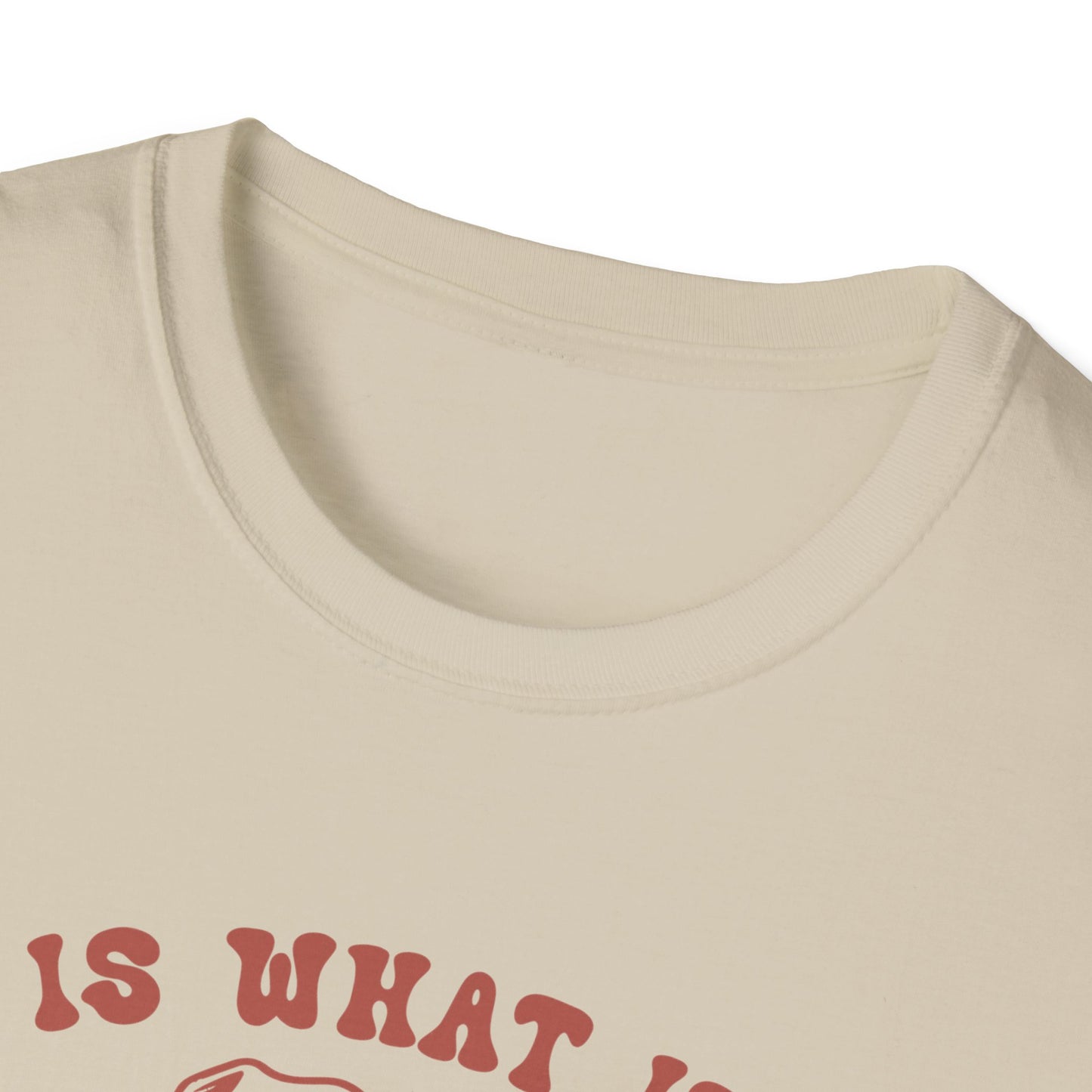 Funny Dog Lover T-Shirt, Humor Tee, Gift for Pet Owners, Casual Wear, Unisex Softstyle Shirt, Birthday Gift, Meme Tee