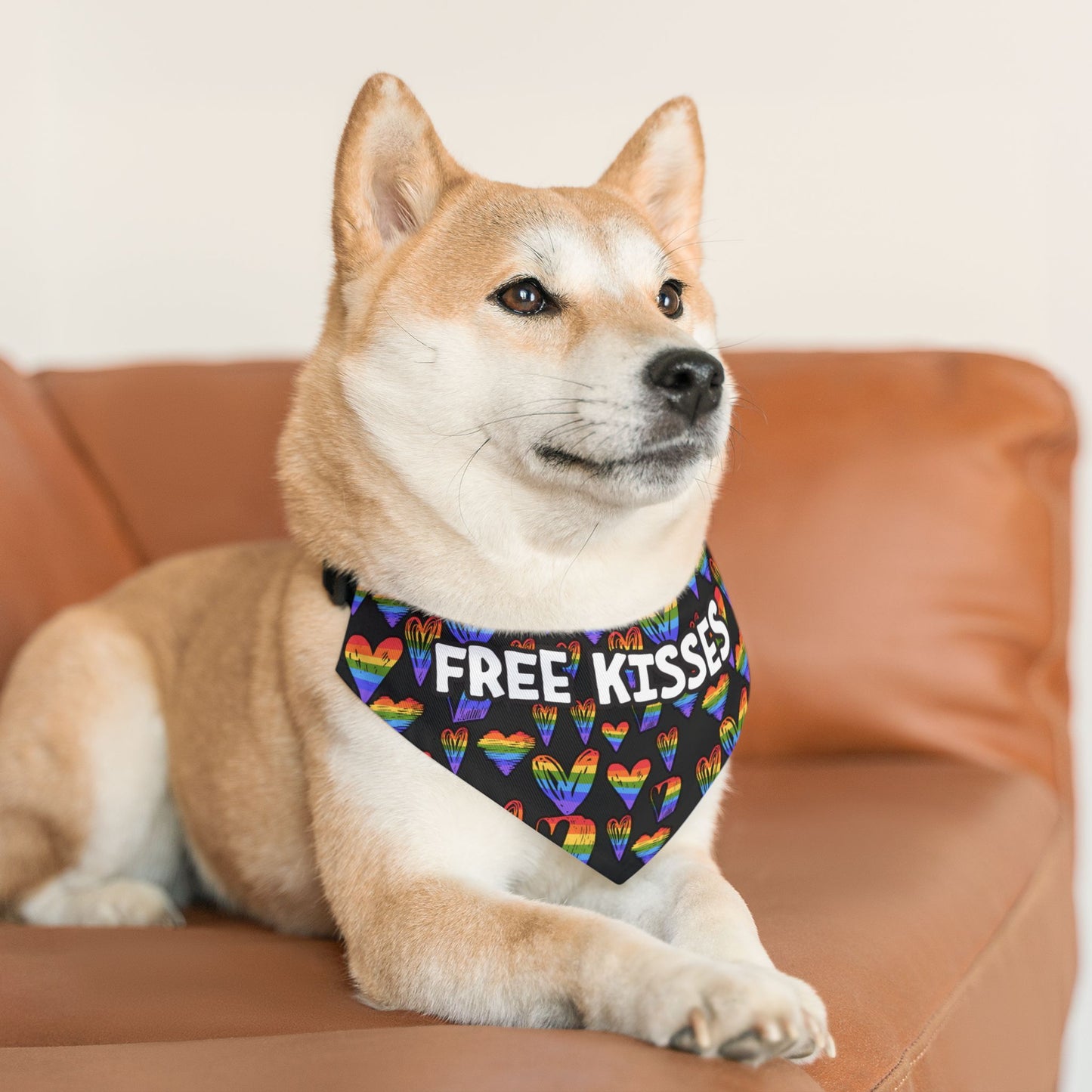 Fun Rainbow Pet Bandana