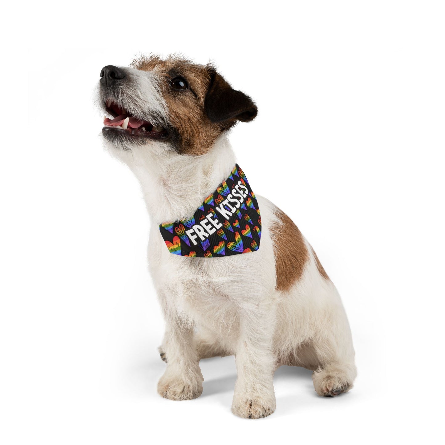 Fun Rainbow Pet Bandana