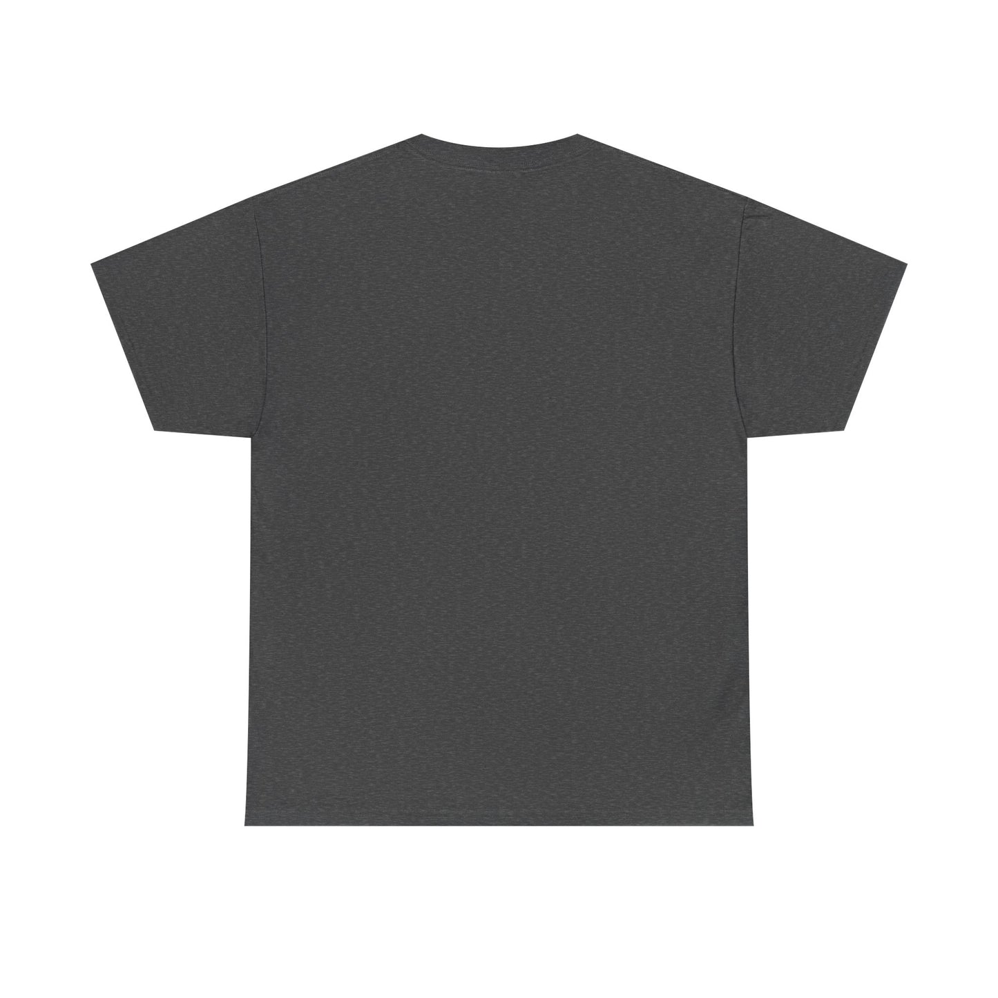 This Ain’t My First Rodeo T-Shirt