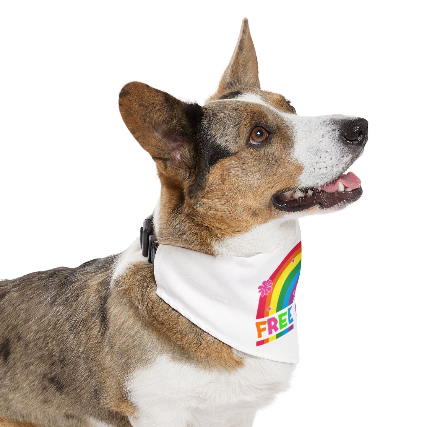 Rainbow Free Kisses Pet Bandana