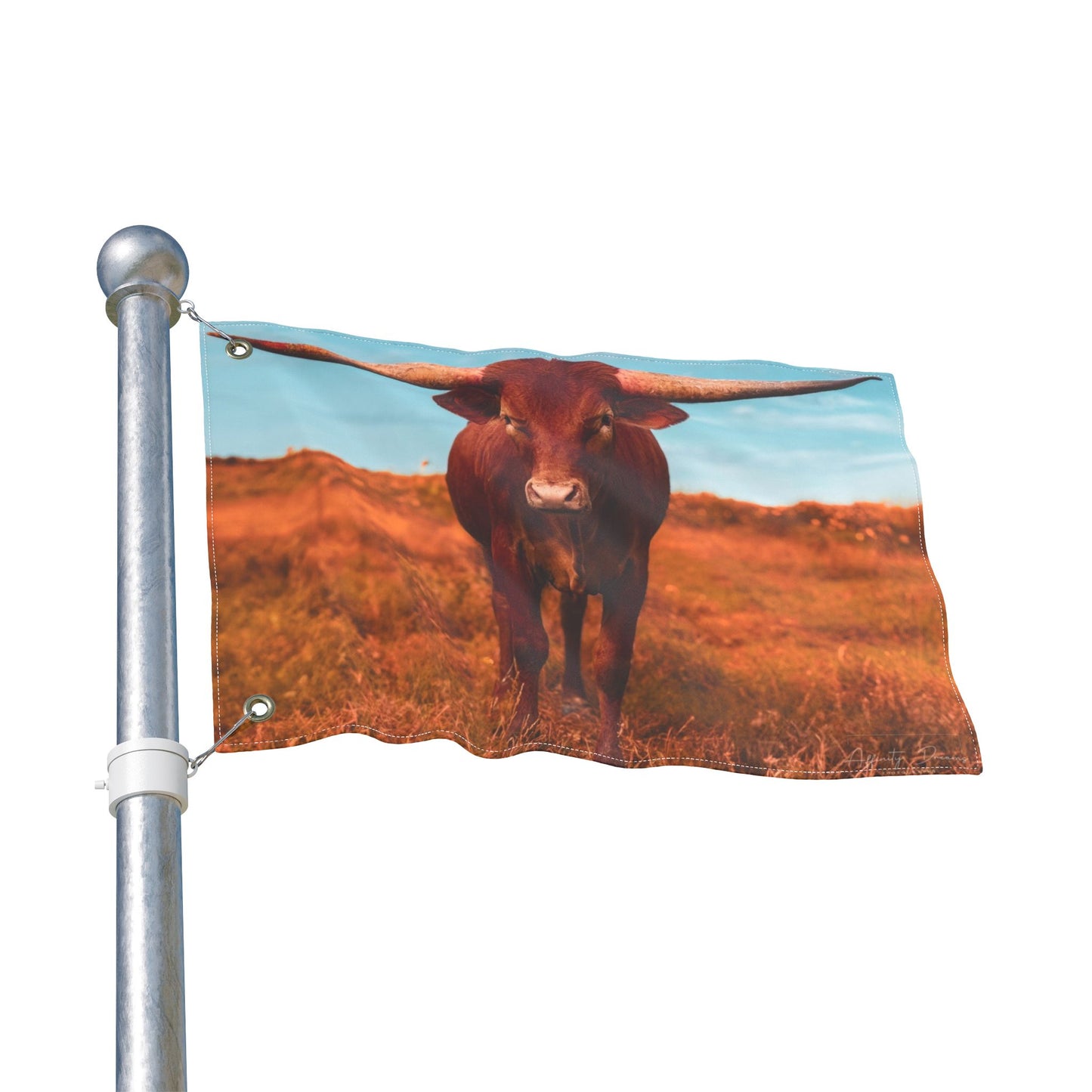 Longhorn Cattle Flag – Double-Sided Texas Ranch Décor