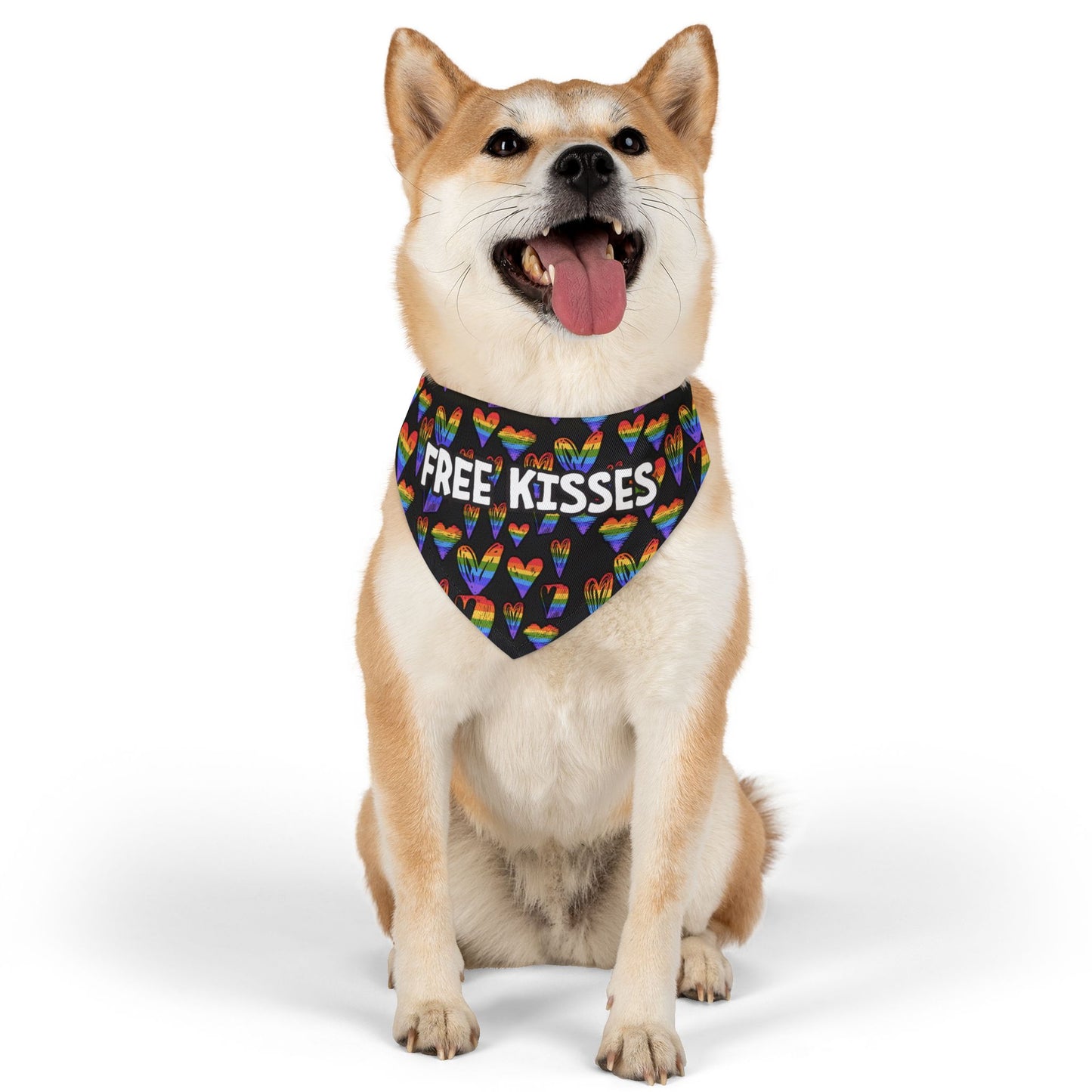 Fun Rainbow Pet Bandana