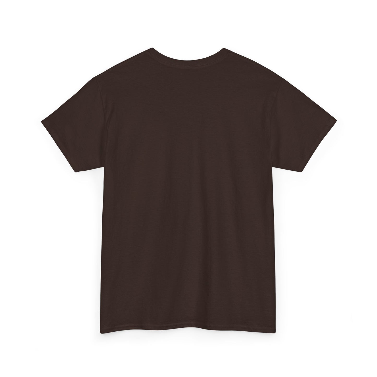 This Ain’t My First Rodeo T-Shirt