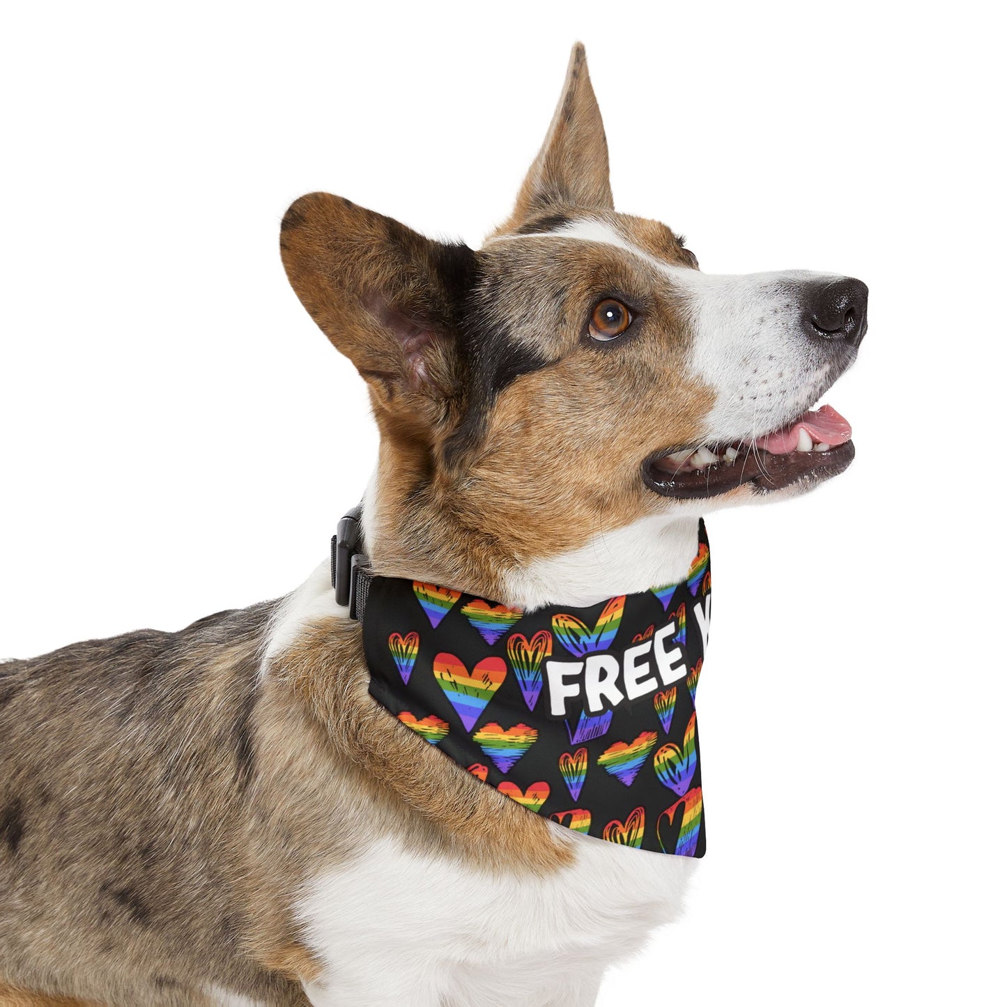 Fun Rainbow Pet Bandana