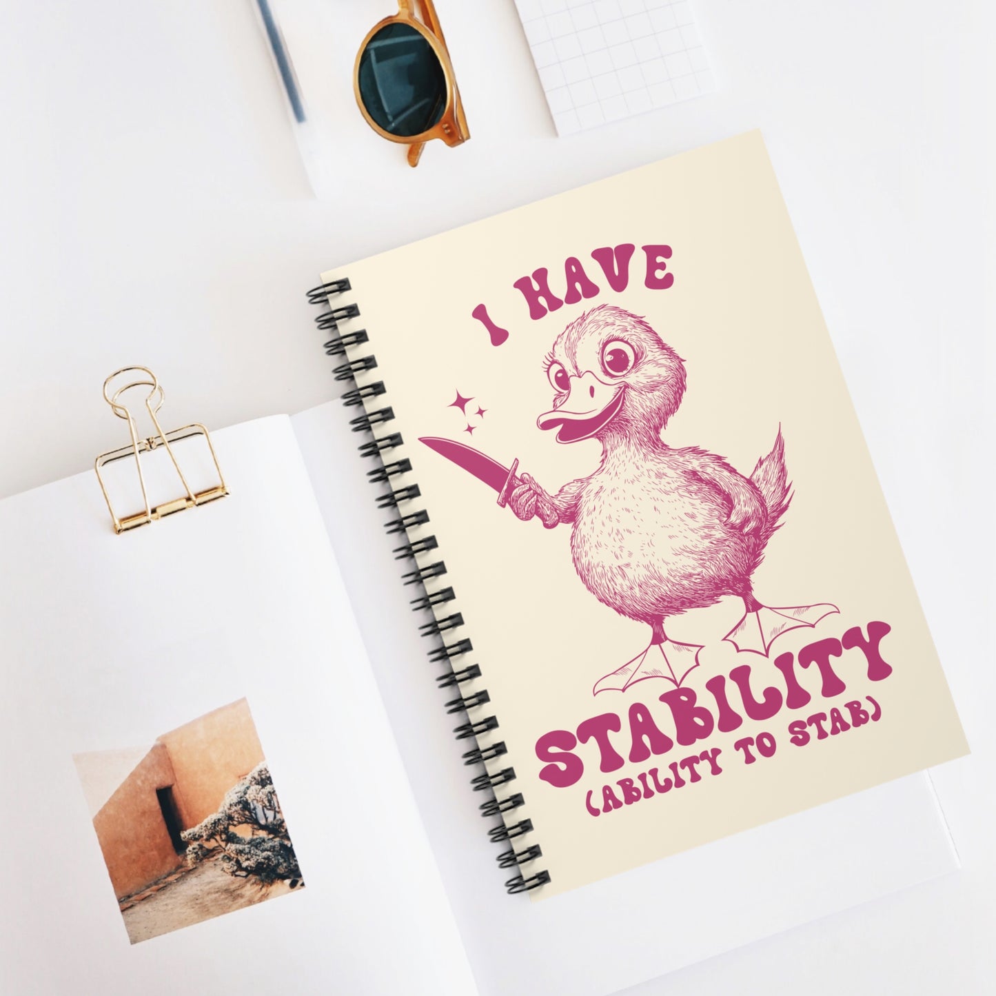 Humorous Spiral Notebook - 'I Have Stability (Ability to Stab)'