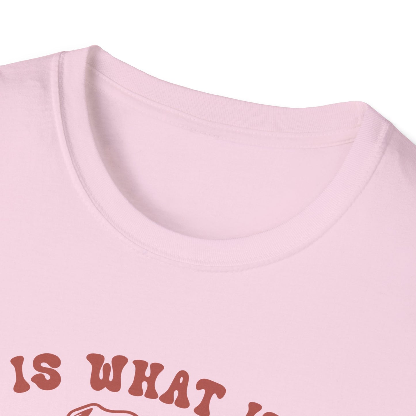 Funny Dog Lover T-Shirt, Humor Tee, Gift for Pet Owners, Casual Wear, Unisex Softstyle Shirt, Birthday Gift, Meme Tee