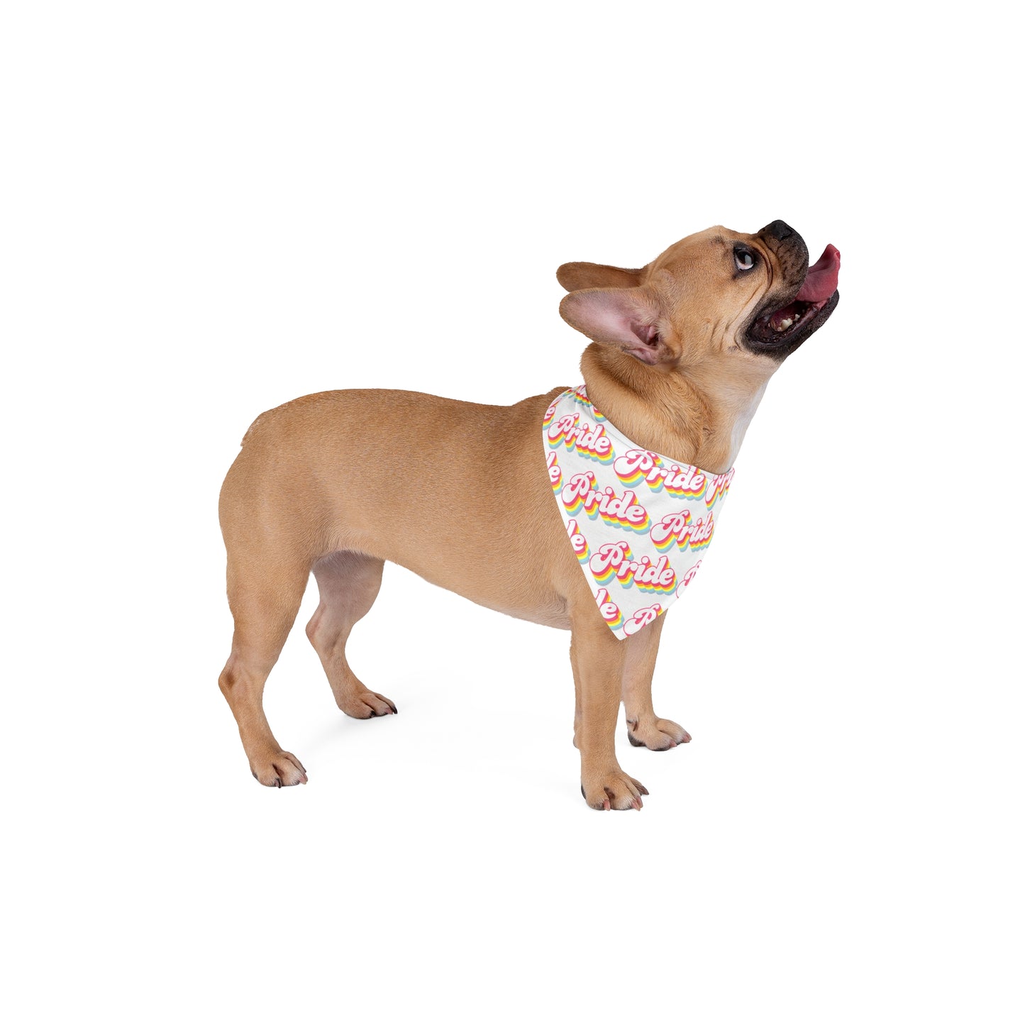 Pride Pet Bandana