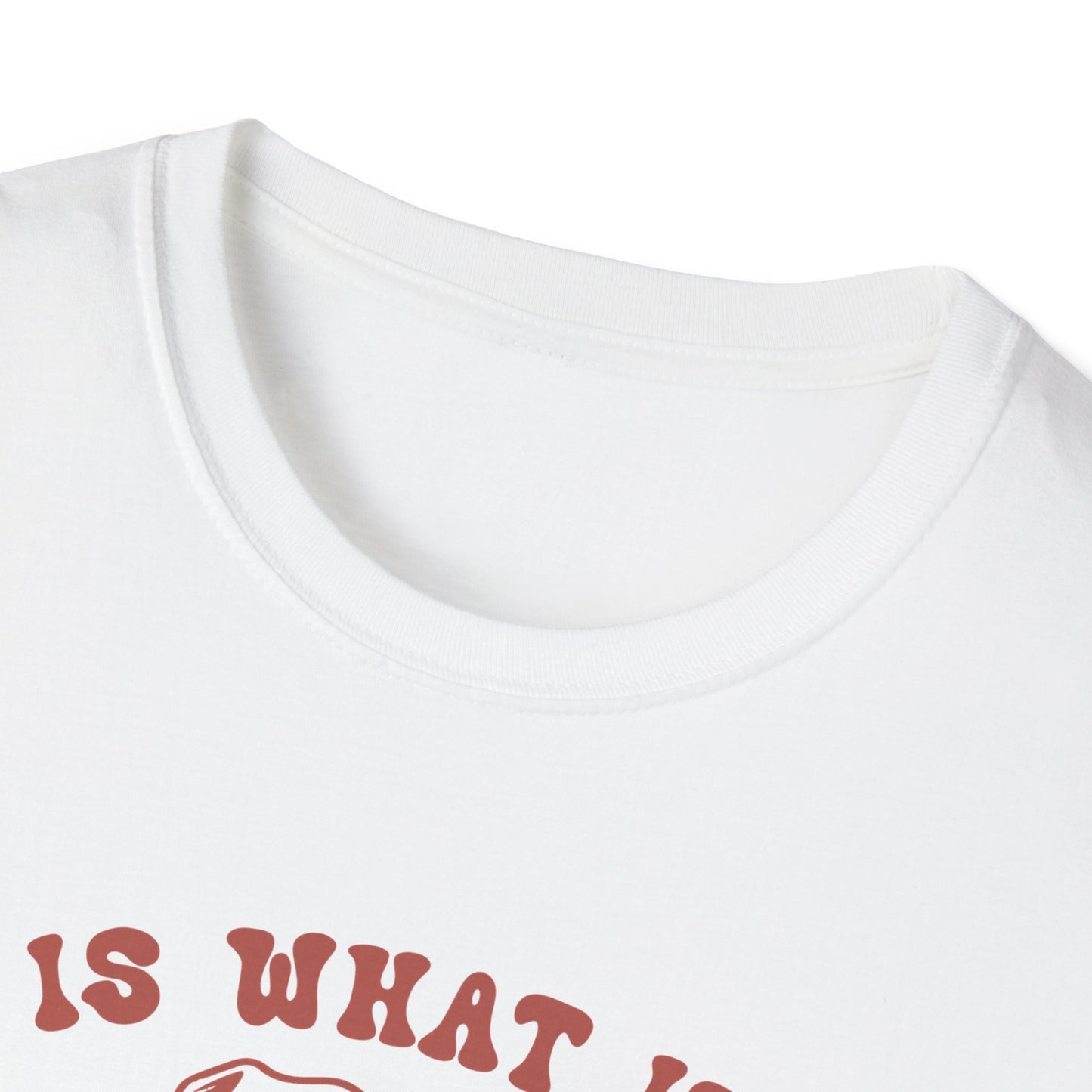 Funny Dog Lover T-Shirt, Humor Tee, Gift for Pet Owners, Casual Wear, Unisex Softstyle Shirt, Birthday Gift, Meme Tee