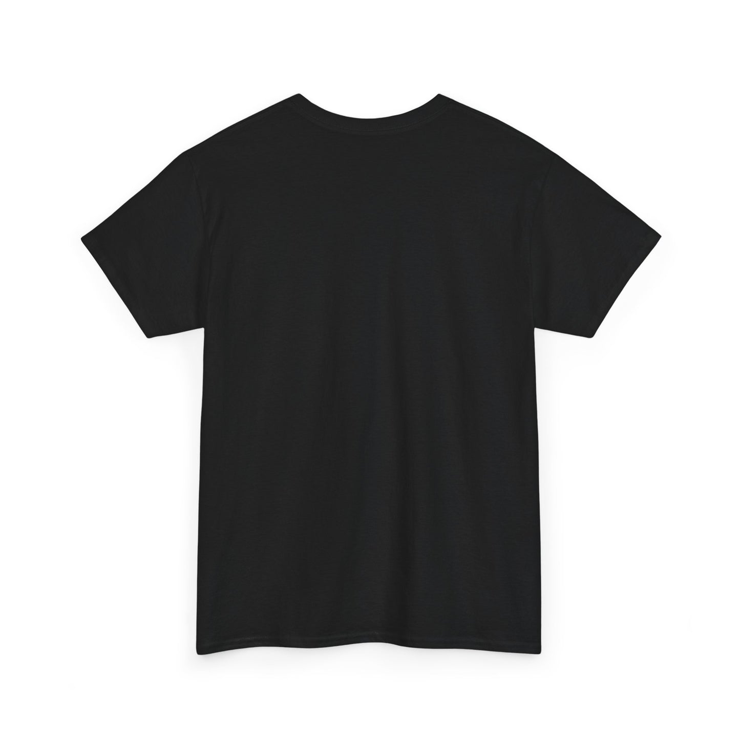 This Ain’t My First Rodeo T-Shirt