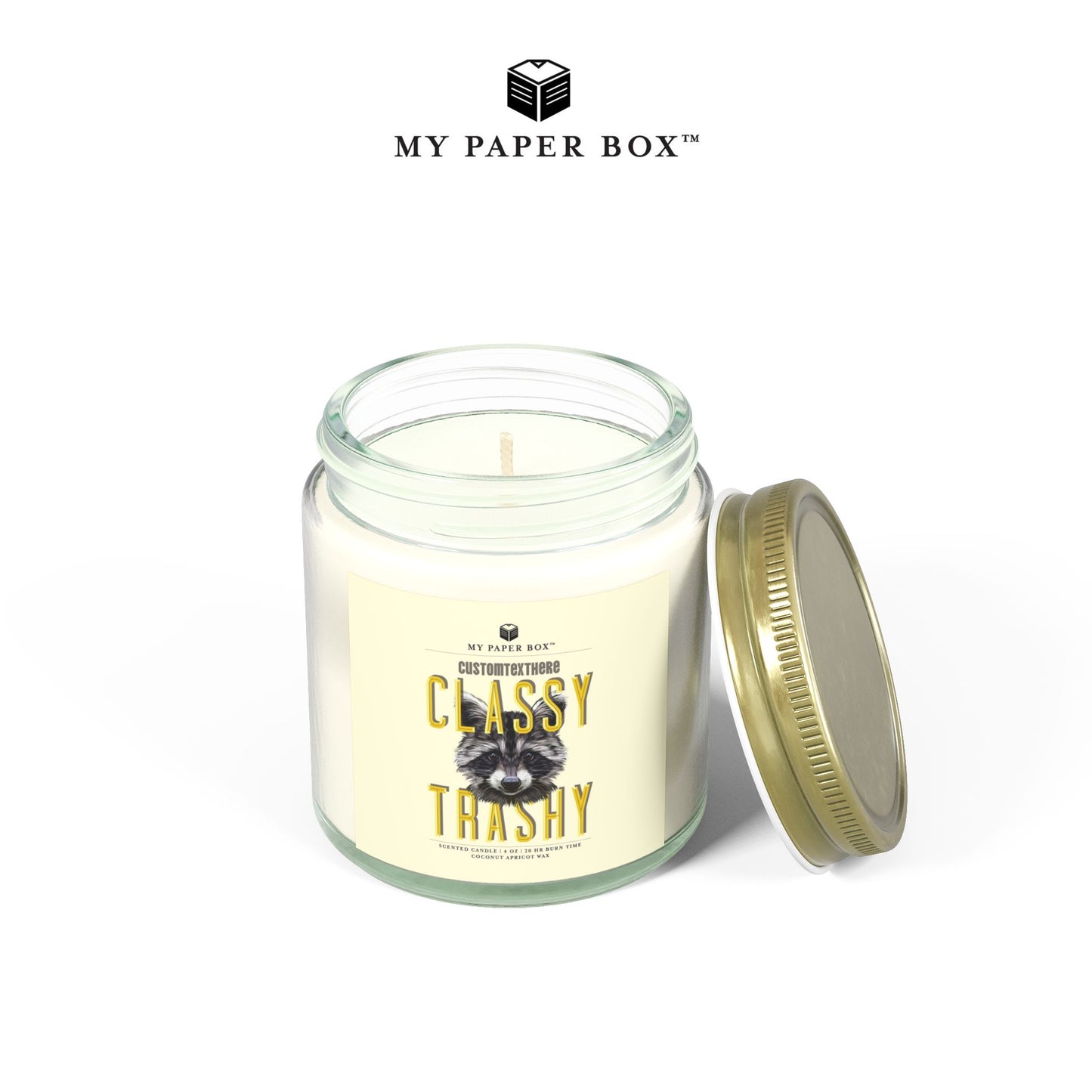Raccoon Funny Candle