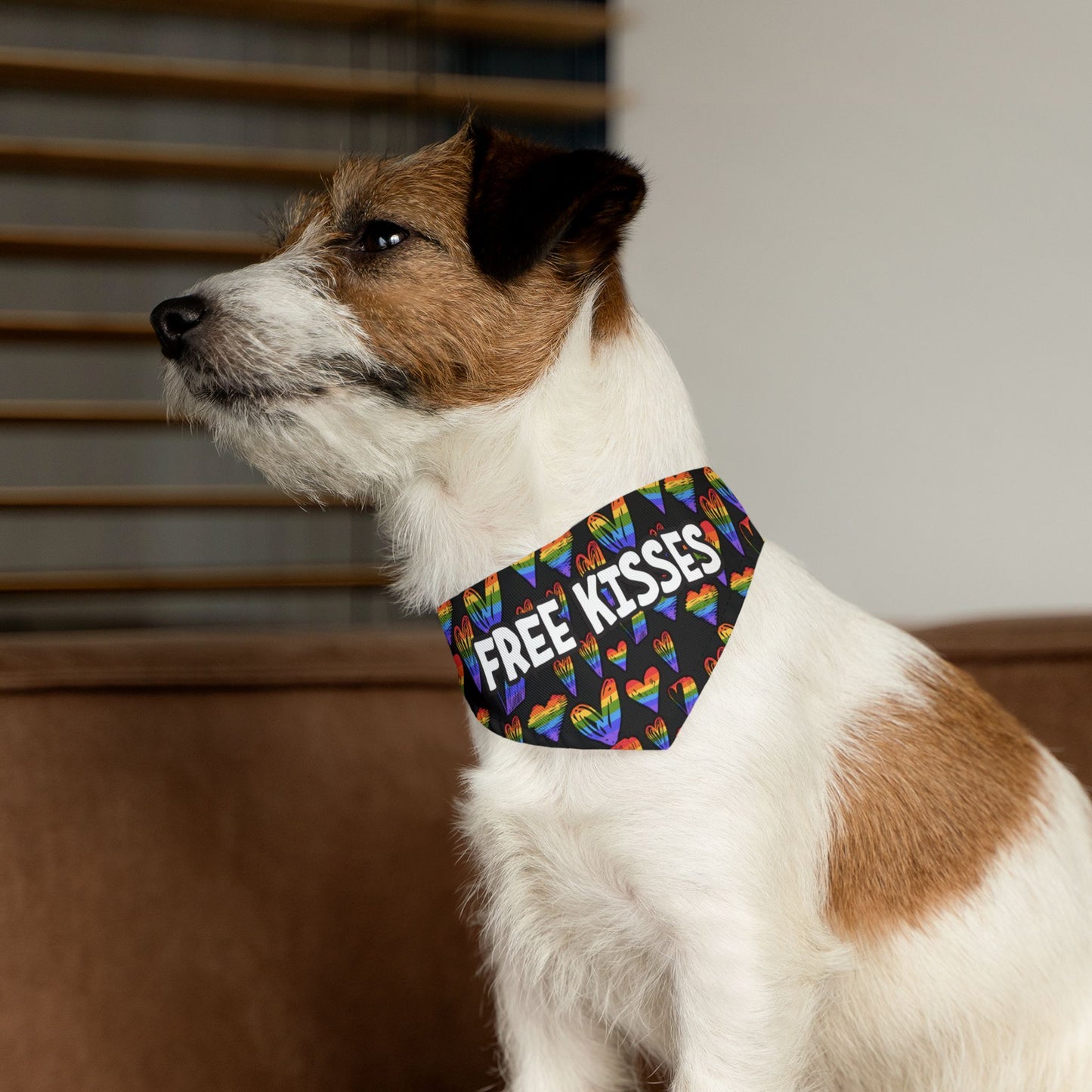 Fun Rainbow Pet Bandana