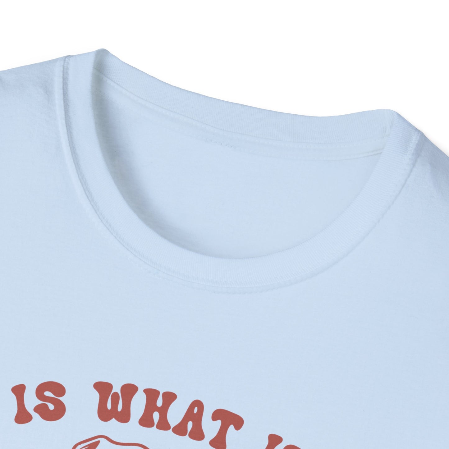 Funny Dog Lover T-Shirt, Humor Tee, Gift for Pet Owners, Casual Wear, Unisex Softstyle Shirt, Birthday Gift, Meme Tee