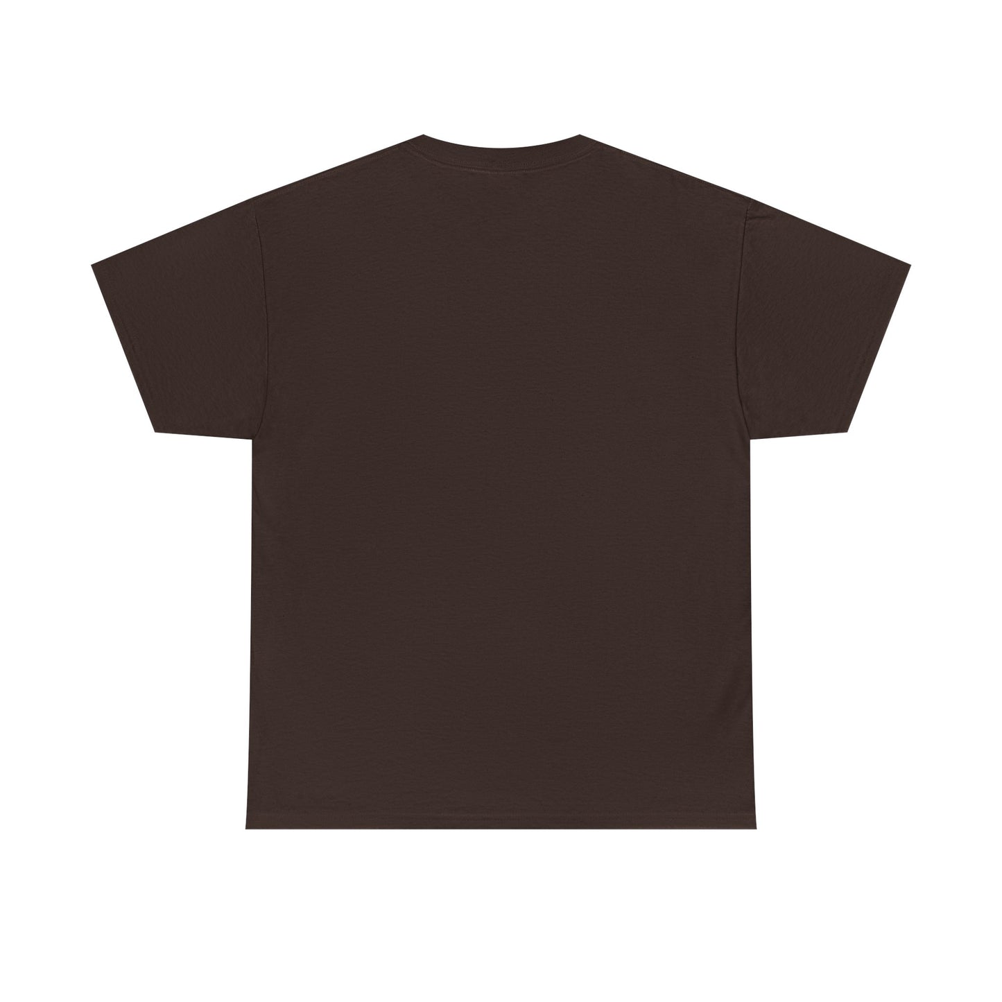 This Ain’t My First Rodeo T-Shirt