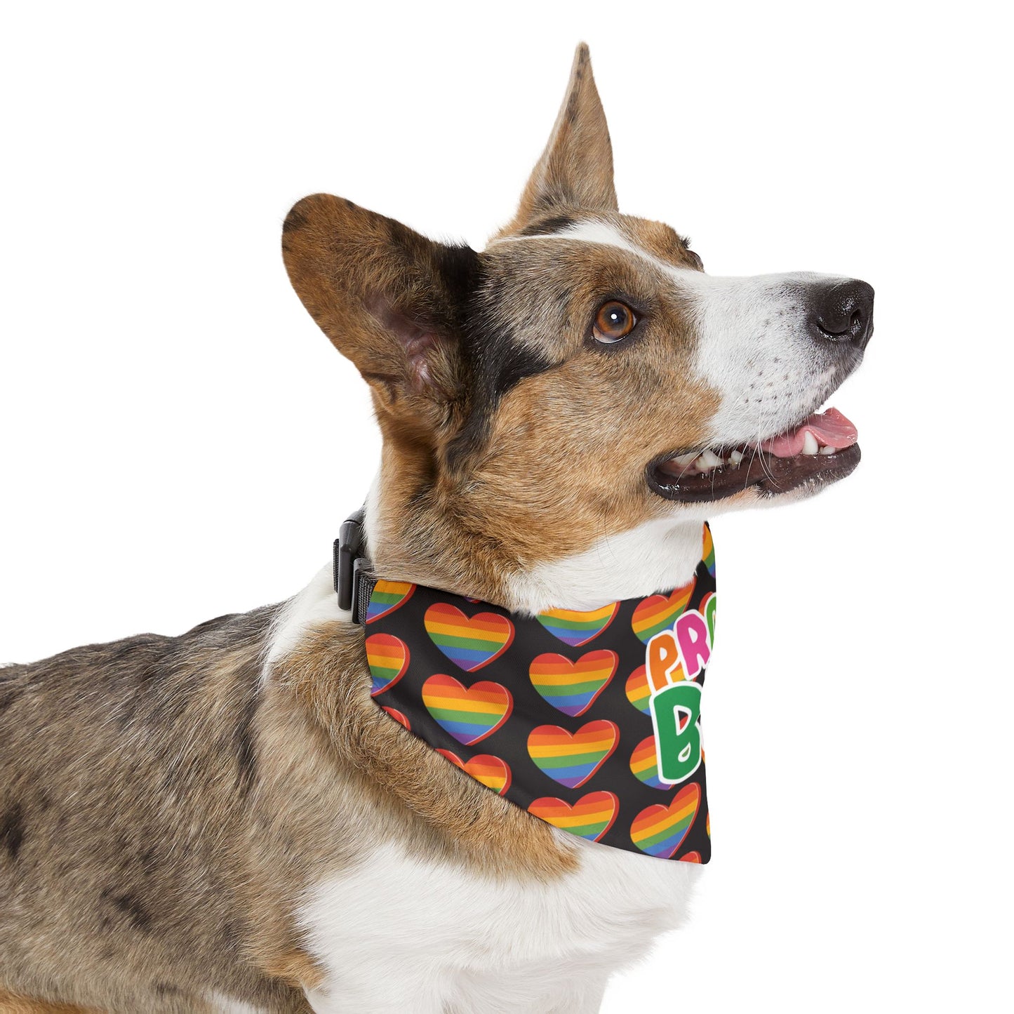 Proud BFF Pet Bandana Collar