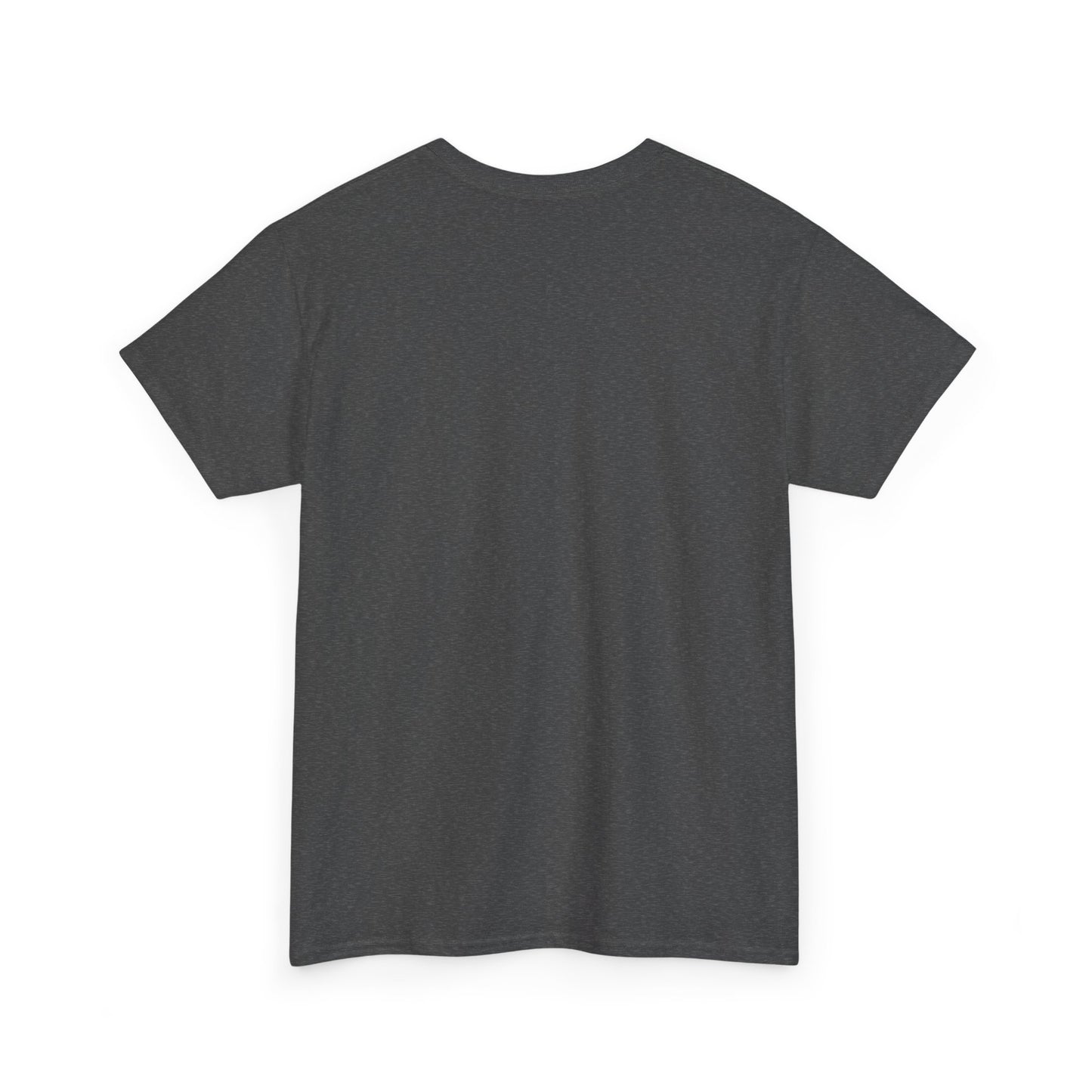 This Ain’t My First Rodeo T-Shirt