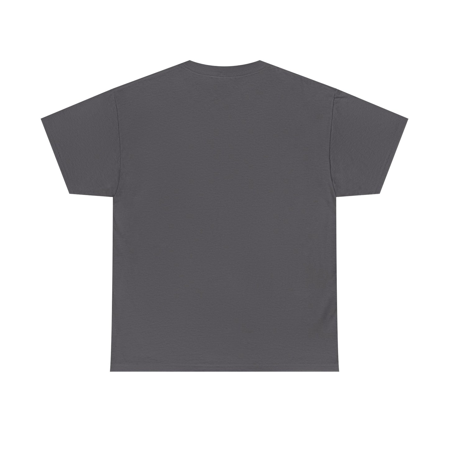 This Ain’t My First Rodeo T-Shirt