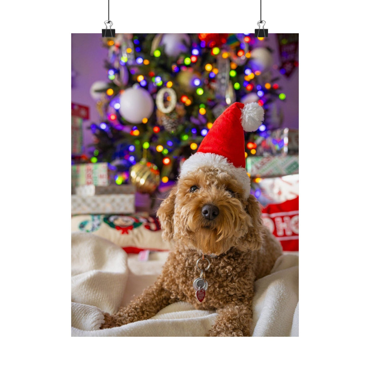 Matte vertical photo poster of a brown curly dog wearing a red Santa hat in front of a decorated Christmas tree.