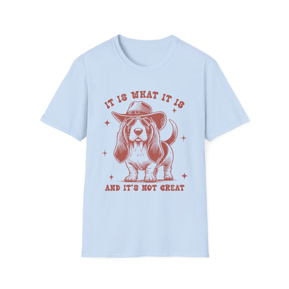 Funny Dog Lover T-Shirt, Humor Tee, Gift for Pet Owners, Casual Wear, Unisex Softstyle Shirt, Birthday Gift, Meme Tee