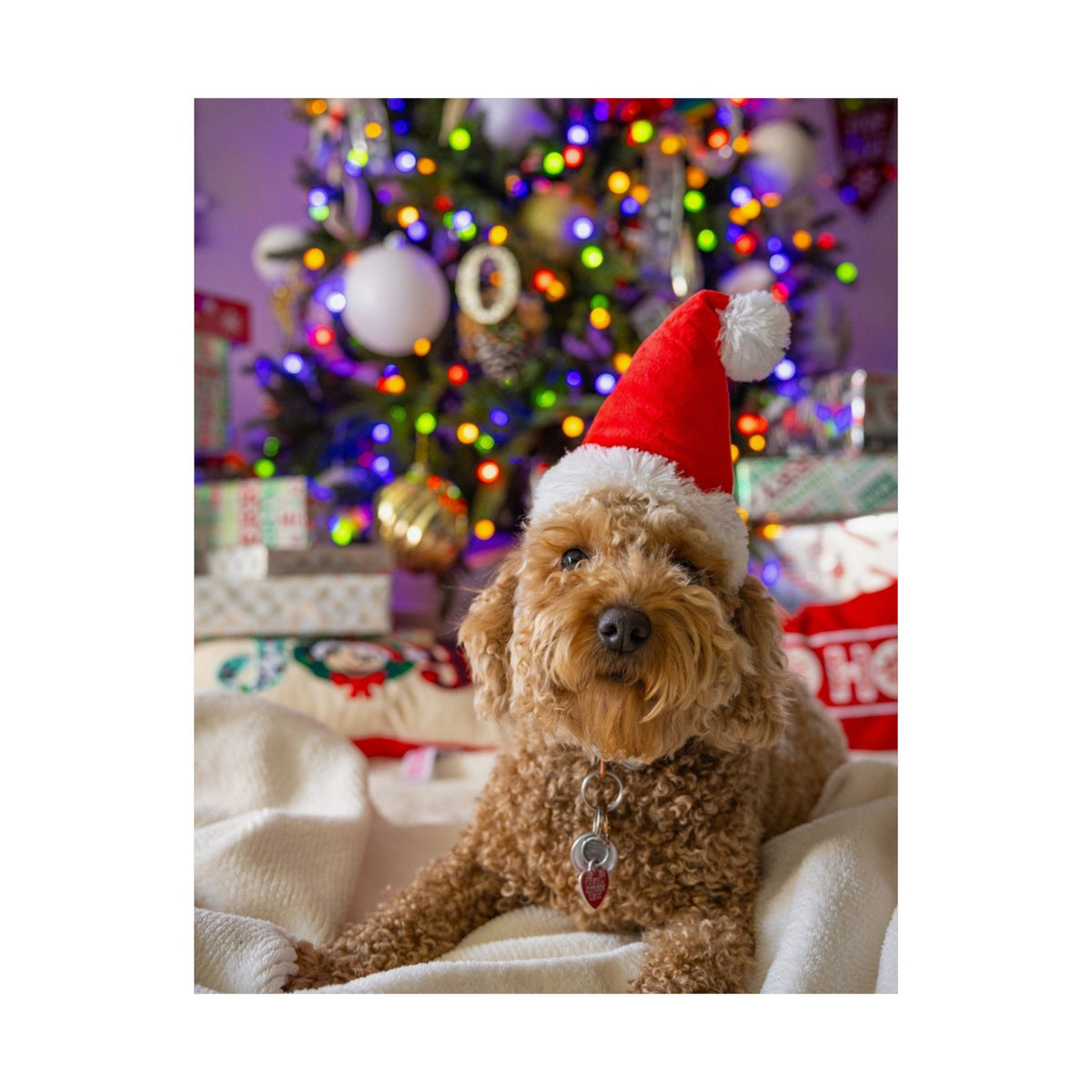 Personalized Photo Poster