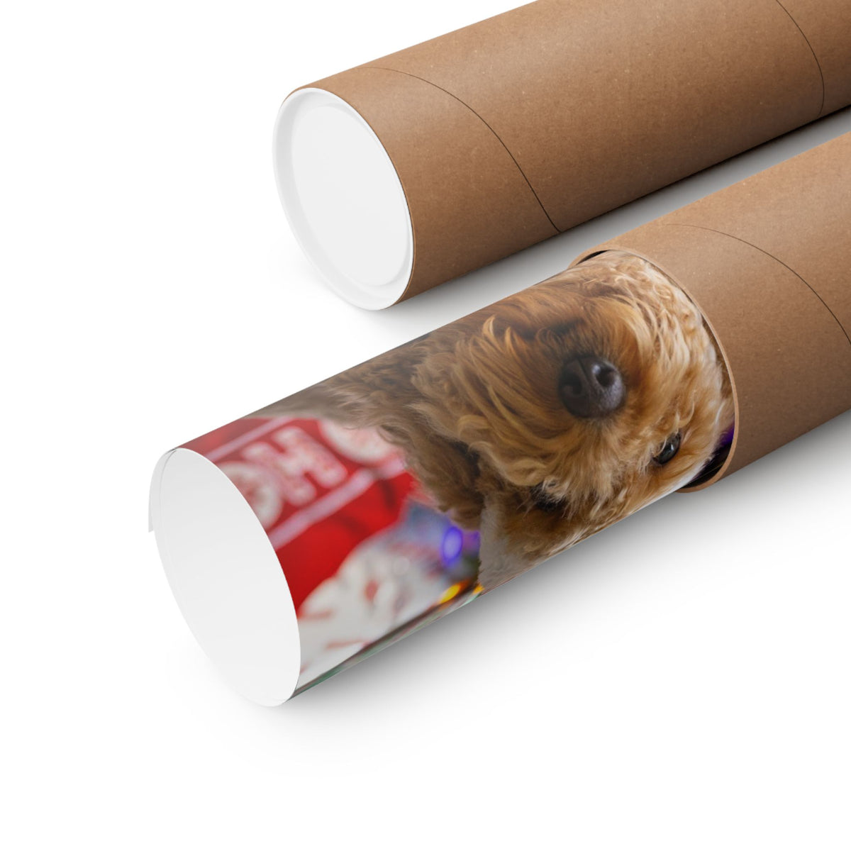 Personalized Photo Poster