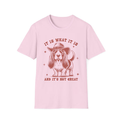 Funny Dog Lover T-Shirt, Humor Tee, Gift for Pet Owners, Casual Wear, Unisex Softstyle Shirt, Birthday Gift, Meme Tee