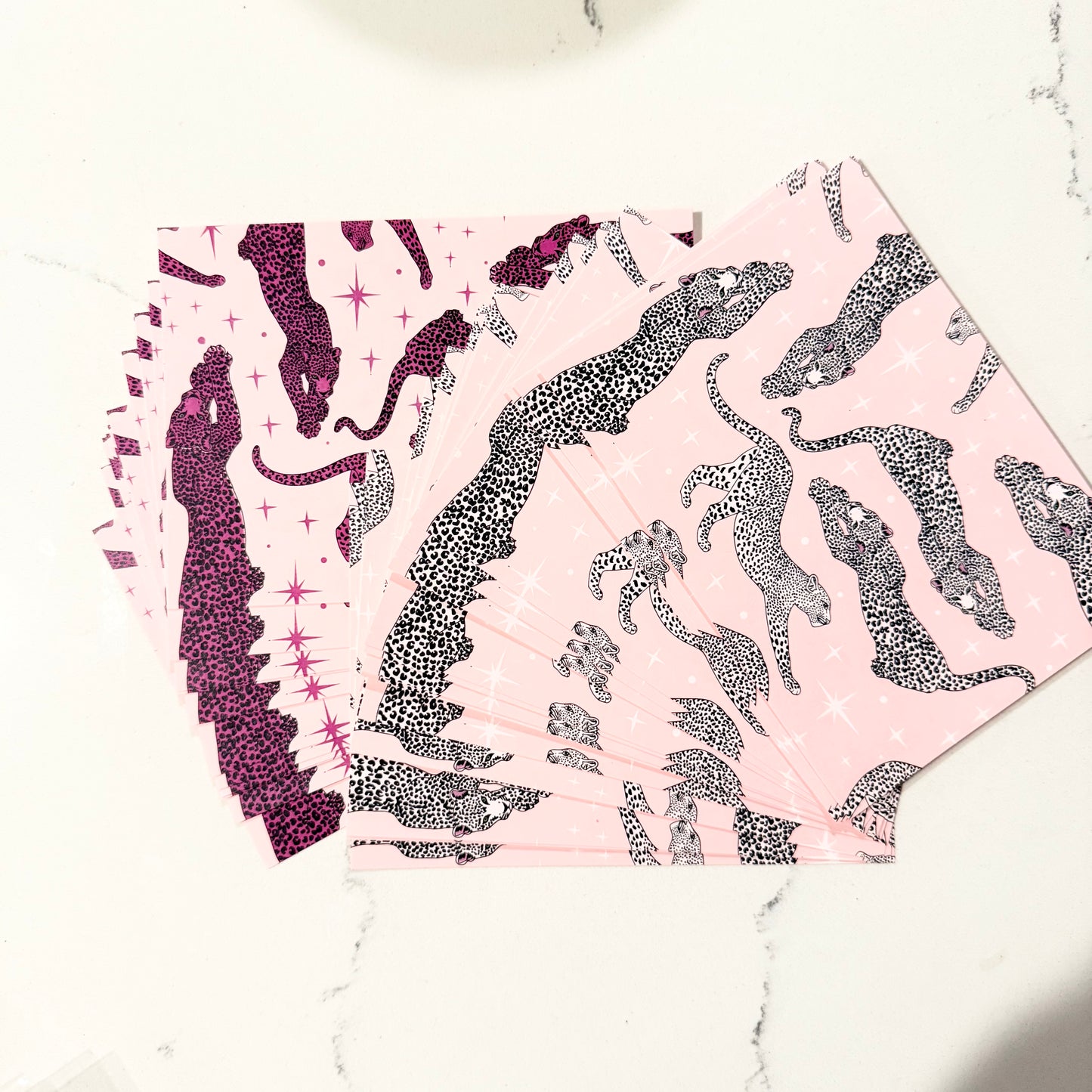 Cheetah Postcard Set