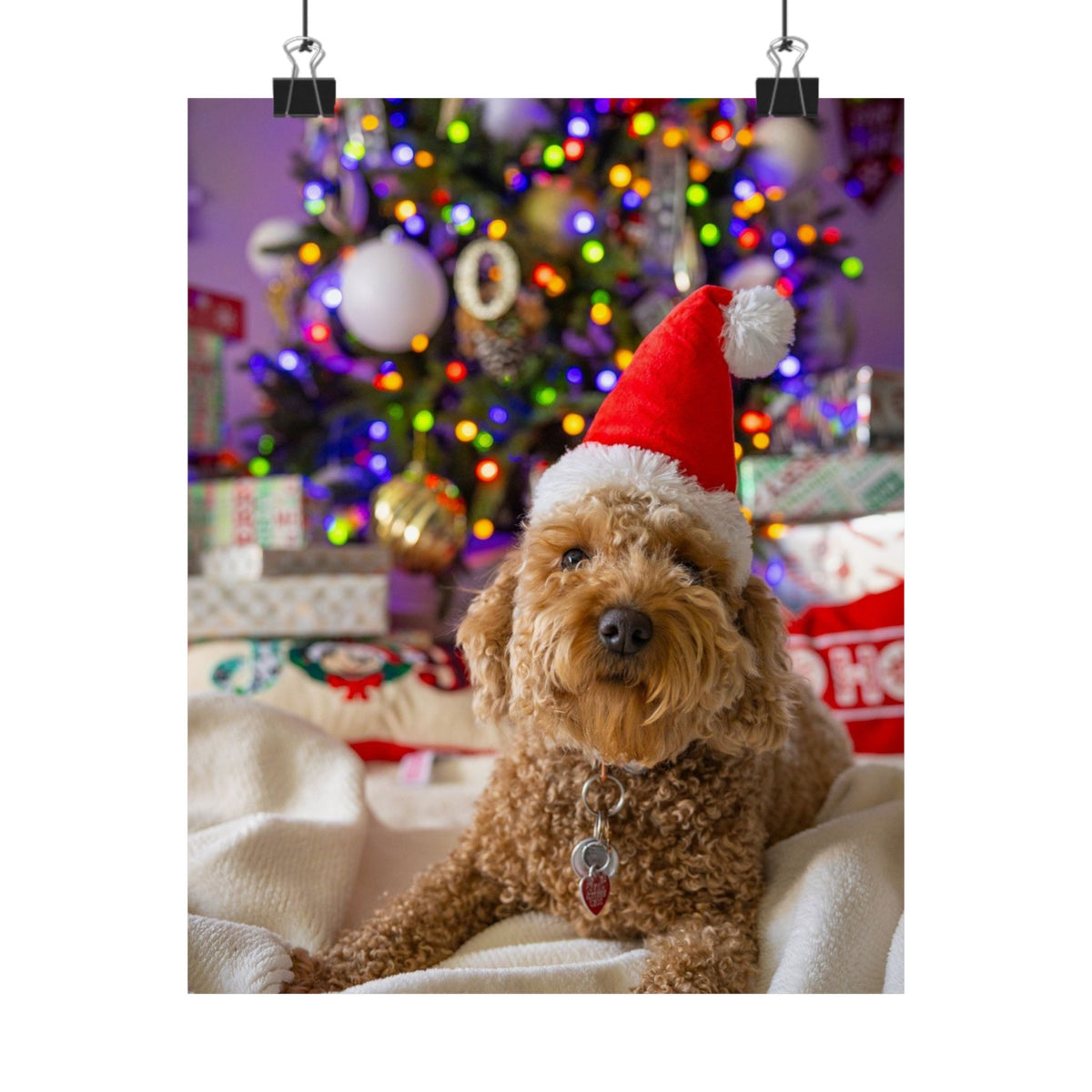 Curly brown dog wearing red Santa hat lying on blanket with decorated Christmas tree in background.
