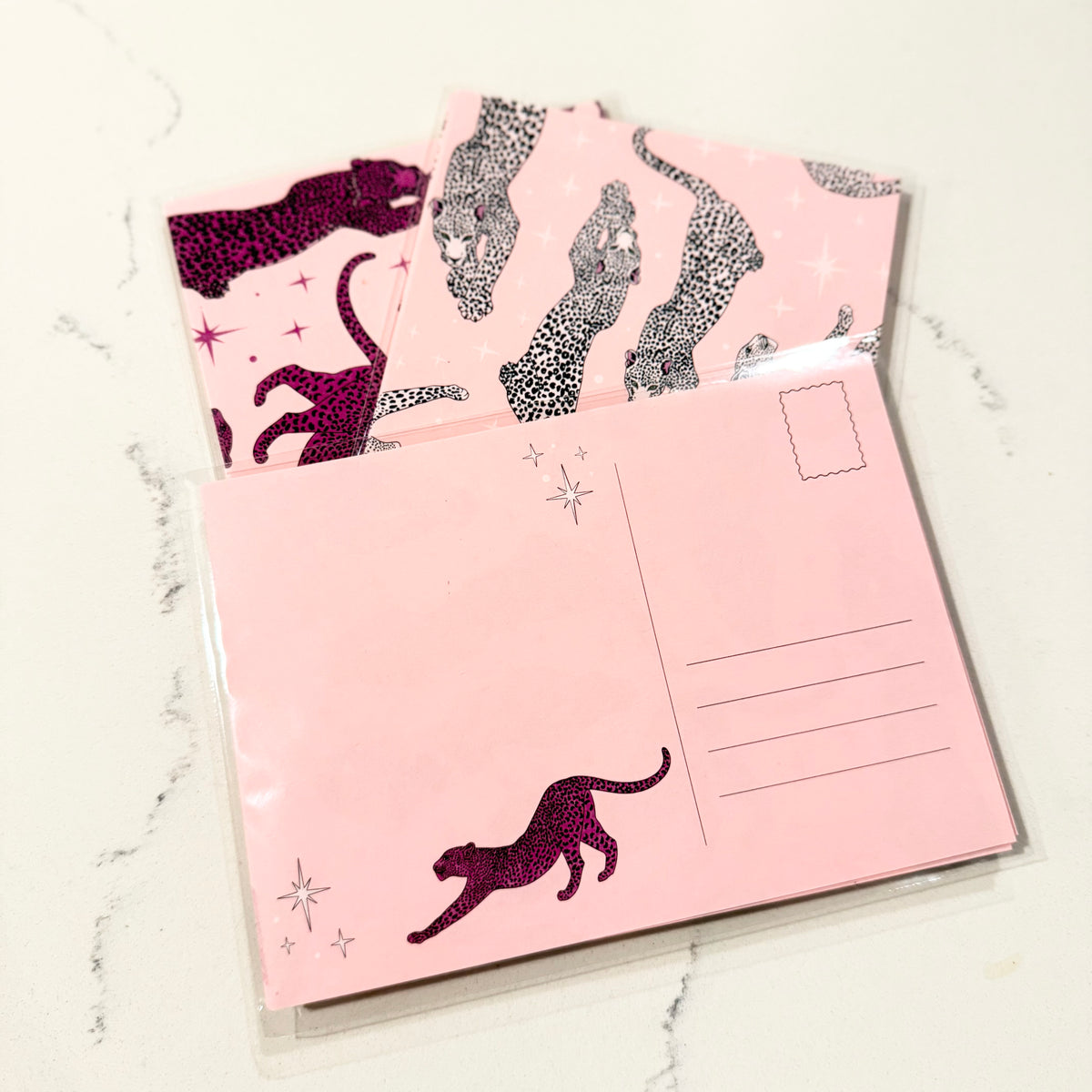 Cheetah Postcard Set
