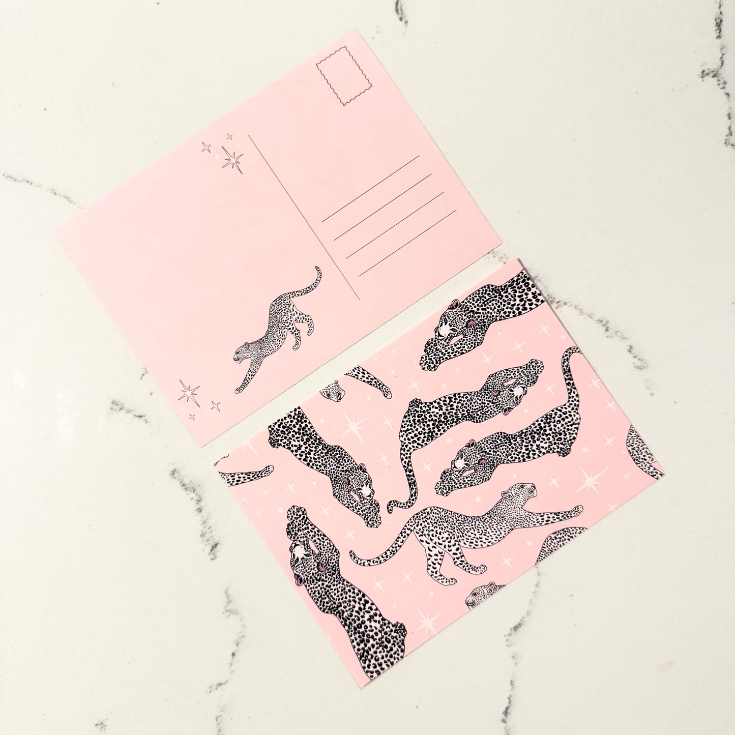 Cheetah Postcard Set